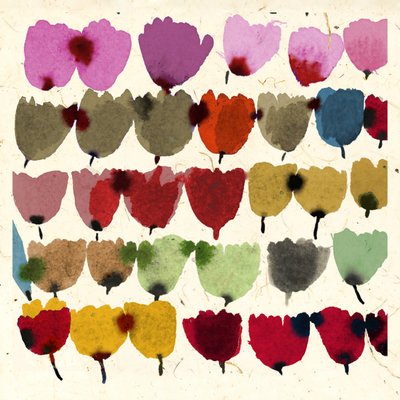 TULIPOS INKY de Jenny Frean