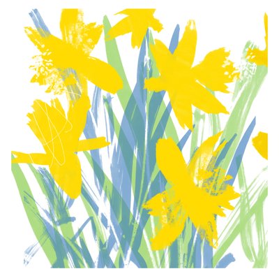Narcisos de primavera de Jenny Frean