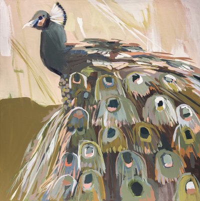 Oliva pavo real de Jenny Westenhofer