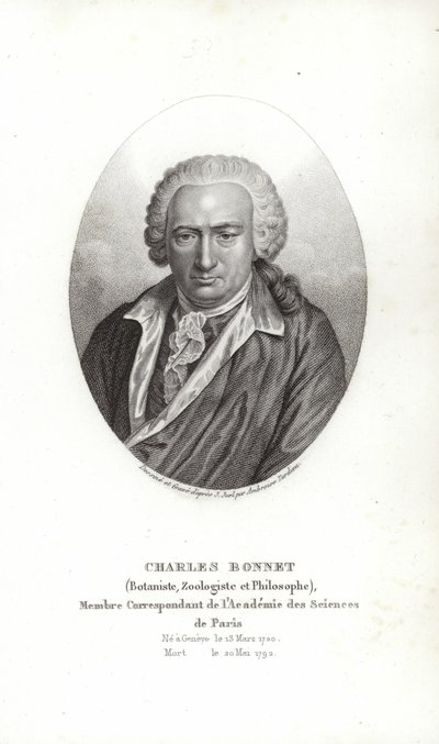 Charles Bonnet de Jens Juel