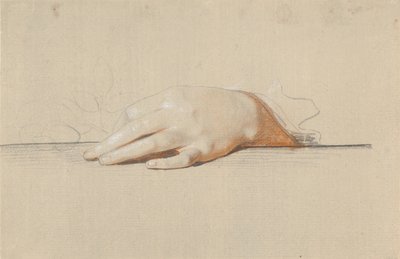 Una mano izquierda descansando sobre una mesa, sosteniendo una rosa de Jens Juel