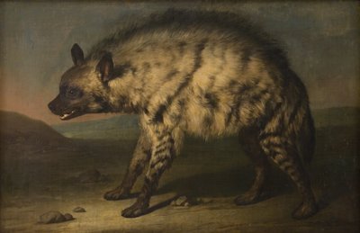 La hiena en el zoológico de Frederiksberg Slot de Jens Juel