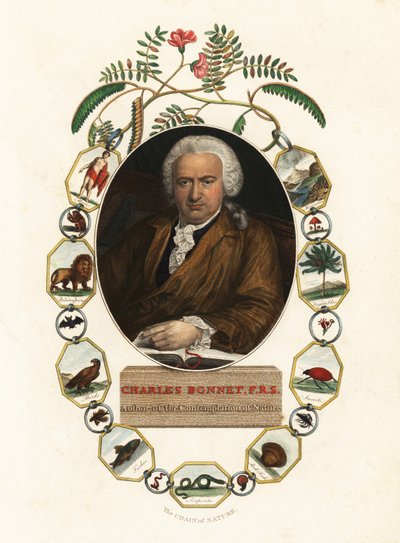 Retrato de Charles Bonnet, naturalista ginebrino.1803 (grabado) de Jens Juel
