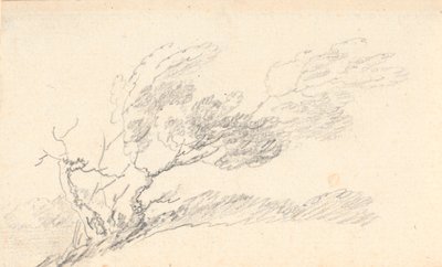 Estudio de árbol en el viento de Jens Juel