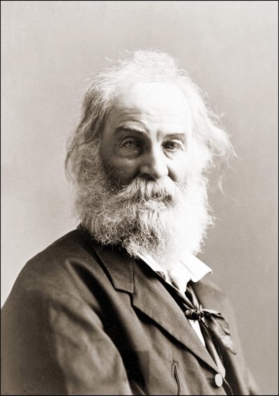 Retrato de Walt Whitman (1819 - 1892) por Gurney entre 1880 y 1890 de Jeremiah Gurney