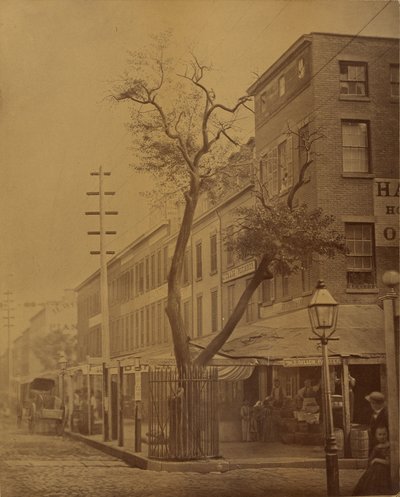 El peral de Stuyvesant de Jeremiah Gurney