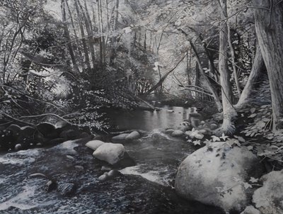 Riverscapes, 2024 (óleo sobre lienzo) de Jerome Glomaud