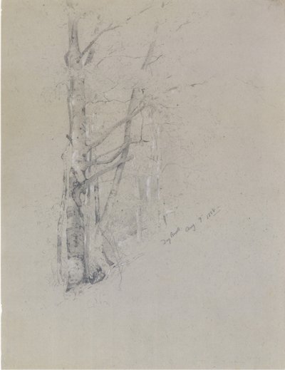 Arroyo seco, 1888 de Jervis McEntee
