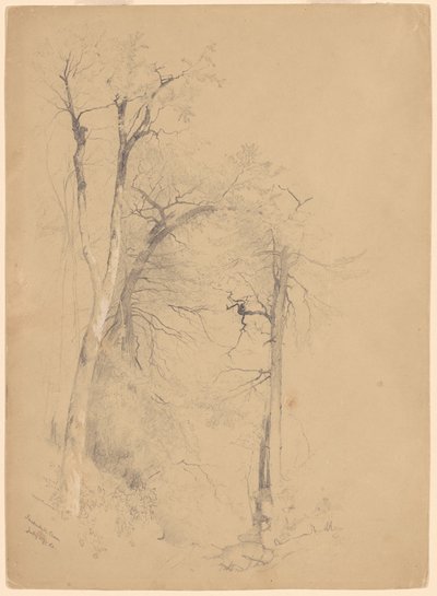 Kauterskill Clove de Jervis McEntee