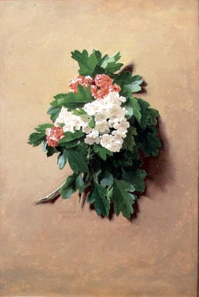 Mayo (de una serie de doce) de Jessica Hayllar