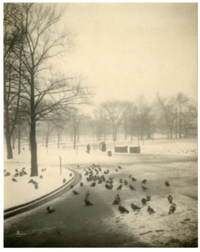 Boston Common, Boston, EE.UU., c.1902-10 de Jessie Tarbox Beals