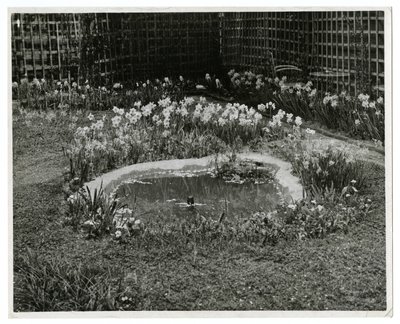 Jardín del Sr. y Sra. Wm H Wells 265 W 11th St, Nueva York, EE.UU. de Jessie Tarbox Beals