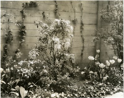 Sr. y Sra. John Morgan, 39 W 11 St, planta Andrómeda, Greenwich Village, Nueva York, EE.UU., c.1939-40 de Jessie Tarbox Beals