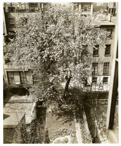Sra. W H Wells 265 W 11th de Jessie Tarbox Beals