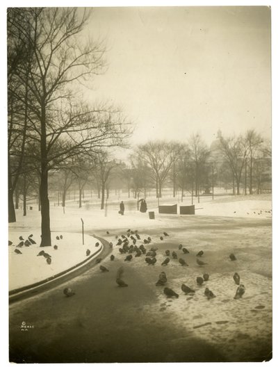 Inusualmente frío en el Common, Boston, EE.UU., c.1902-10 de Jessie Tarbox Beals