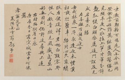 Caligrafía con dieciséis líneas verticales de escritura, 1644-1911 de Jiang Shijie