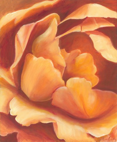 Suave flor de naranjo de Jillian Claire