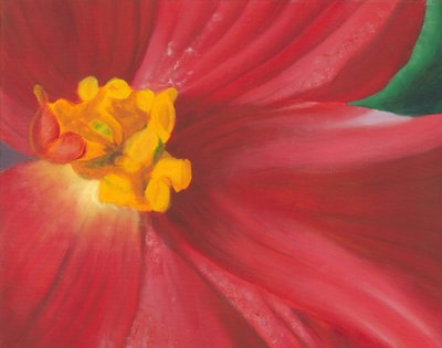 Flor de un rojo intenso de Jillian Claire