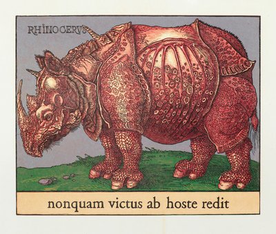 Red Rhino, 2007 (xilografía) de Jim Monson