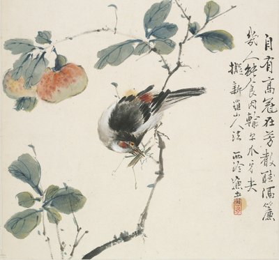 Un Hwamei chino comiendo un saltamontes, 1857 de Jin Yuan