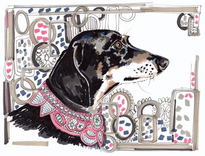 Lacey el Dachshund, 2013 de Jo Chambers