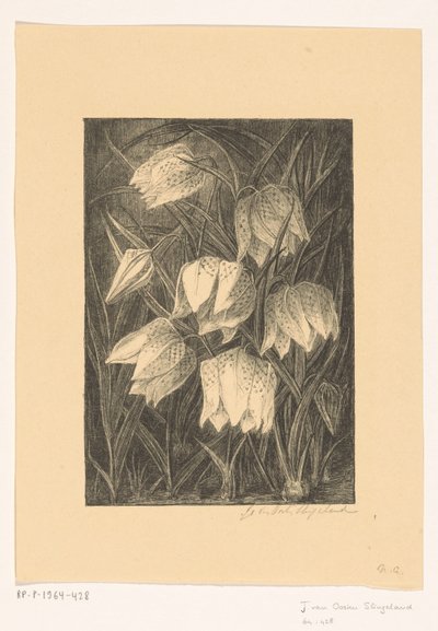 Flores de avefría de Jo van Oosten Slingeland (signed by artist)