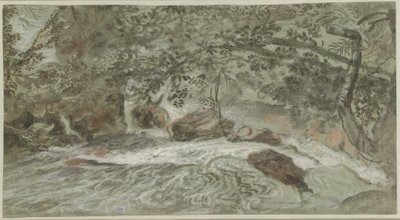 Rápidos con ramas colgantes de Joachim Franz Beich