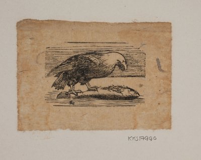 Un águila de Joakim Frederik Skovgaard