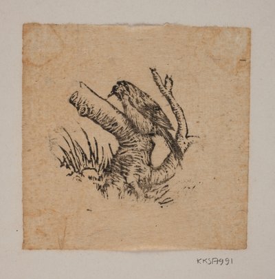 Un pájaro carpintero de Joakim Frederik Skovgaard