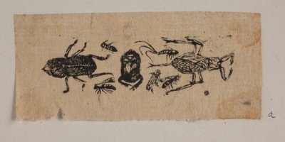Insecto de Joakim Frederik Skovgaard