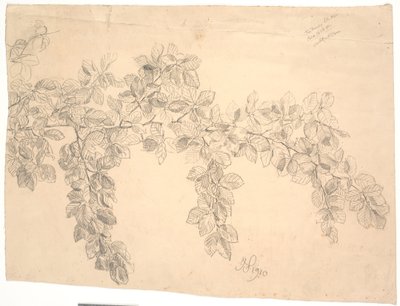 Estudio de una rama de haya de Joakim Frederik Skovgaard