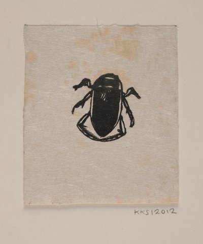 Escarabajo acuático de Joakim Frederik Skovgaard