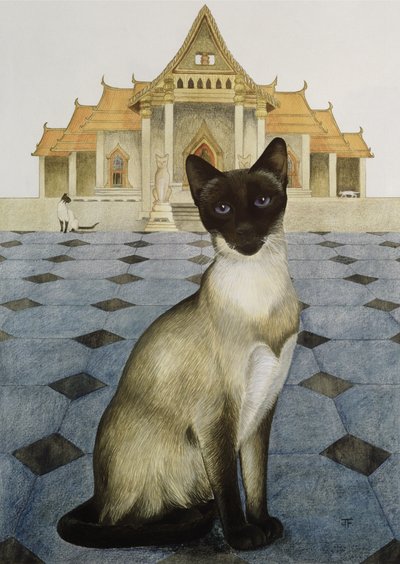 Siamés de Joan Freestone