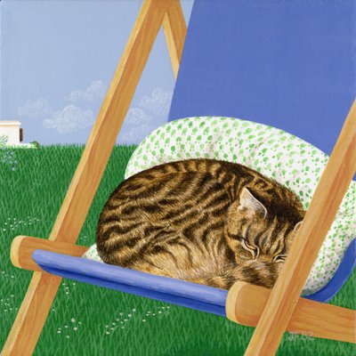 Gato atigrado dormido en una tumbona de Joan Freestone