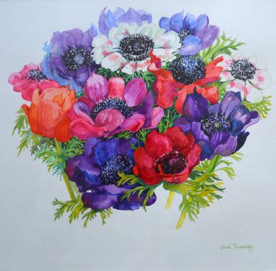 Anémonas: rojas, blancas, rosas y púrpuras, 2000 de Joan Thewsey