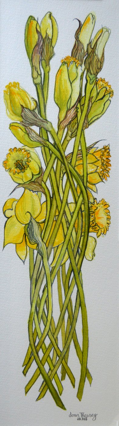 Narcisos de Joan Thewsey