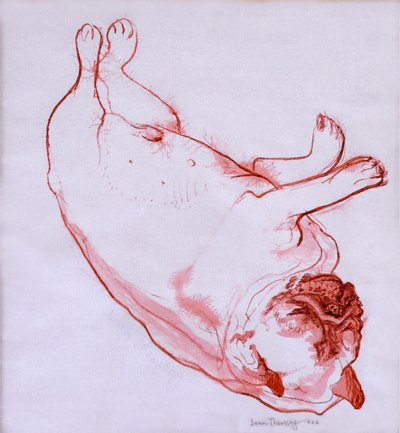 Hogarth durmiendo, 2005 de Joan Thewsey