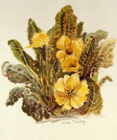 Primavera, 2010 de Joan Thewsey