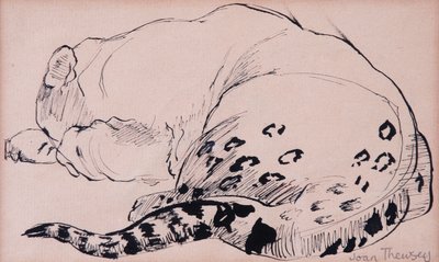 Boceto, leopardo, zoológico de Londres 2005 de Joan Thewsey