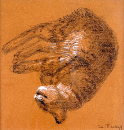 Gato atigrado durmiendo, 2005 de Joan Thewsey