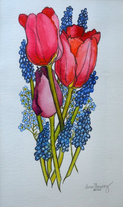 Tulipanes, Muscari y Nomeolvides de Joan Thewsey