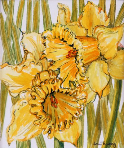 Dos narcisos, 2001 de Joan Thewsey