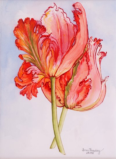 Dos tulipanes rizados, 2000 de Joan Thewsey