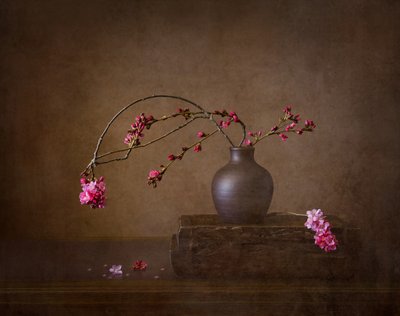 Naturaleza muerta con flores de cerezo de Joanna W