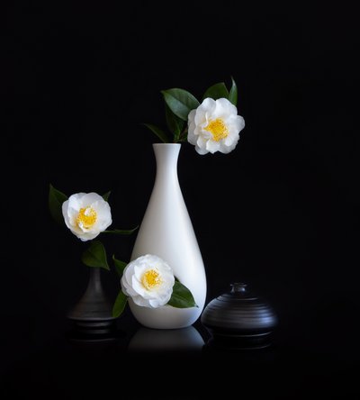 Naturaleza muerta con camelias blancas de Joanna W