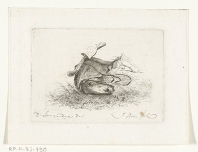 Cabeza de caballo de caballo mentiroso Cabezas de caballo después de Dirk Langendijk (título de la serie) de Joannes Bemme