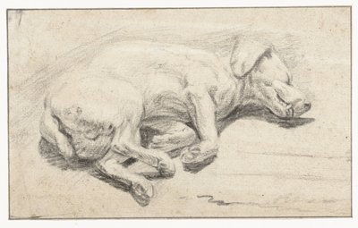 Perro reclinado, durmiendo de Joannes Fijt (attributed to)