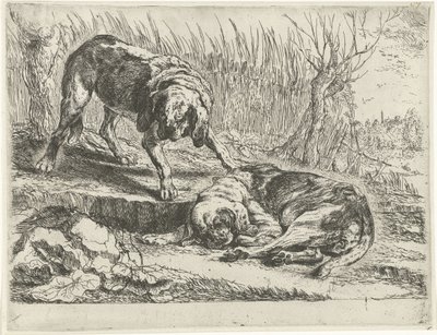 Dos perros Perros (título de la serie) de Joannes Fijt