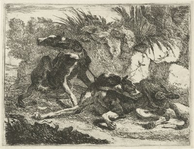 Dos perros Perros (título de la serie) de Joannes Fijt