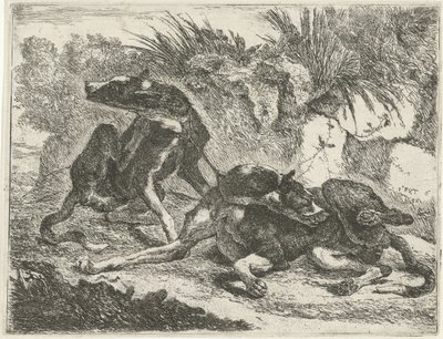 Dos perros Perros (título de la serie) de Joannes Fijt
